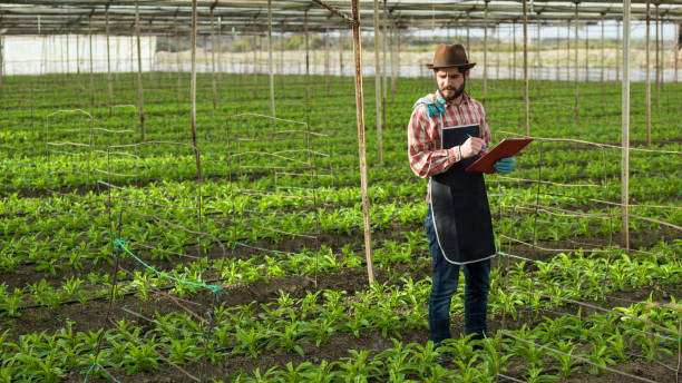 istock Human hand In Gloves Gardening 878671298