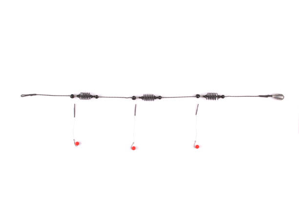 istock Bait fishing for carp 878671710