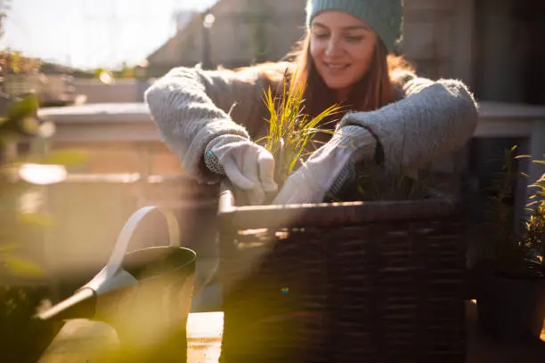 Photo of a young woman taking care of her rooftop garden on the balcony over the city, on a beautiful, sunny, autumn day