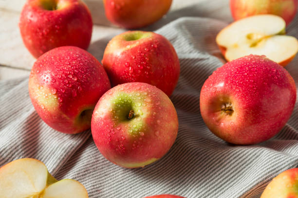 Raw Red Organic Pink Lady Apples Raw Red Organic Pink Lady Apples Ready to Eat pink lady apples stock pictures, royalty-free photos & images
