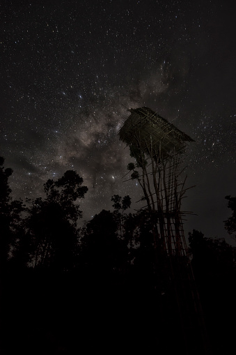 Night shot of the tree house of the Korowai people under the Milky Way. 

