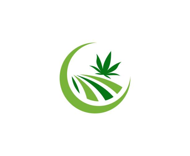 Marijuana icon This illustration/vector you can use for any purpose related to your business. weed farm stock illustrations