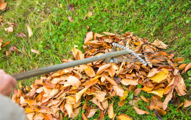 istock Man cleaning fallen autumn leaves in the yard 878714060