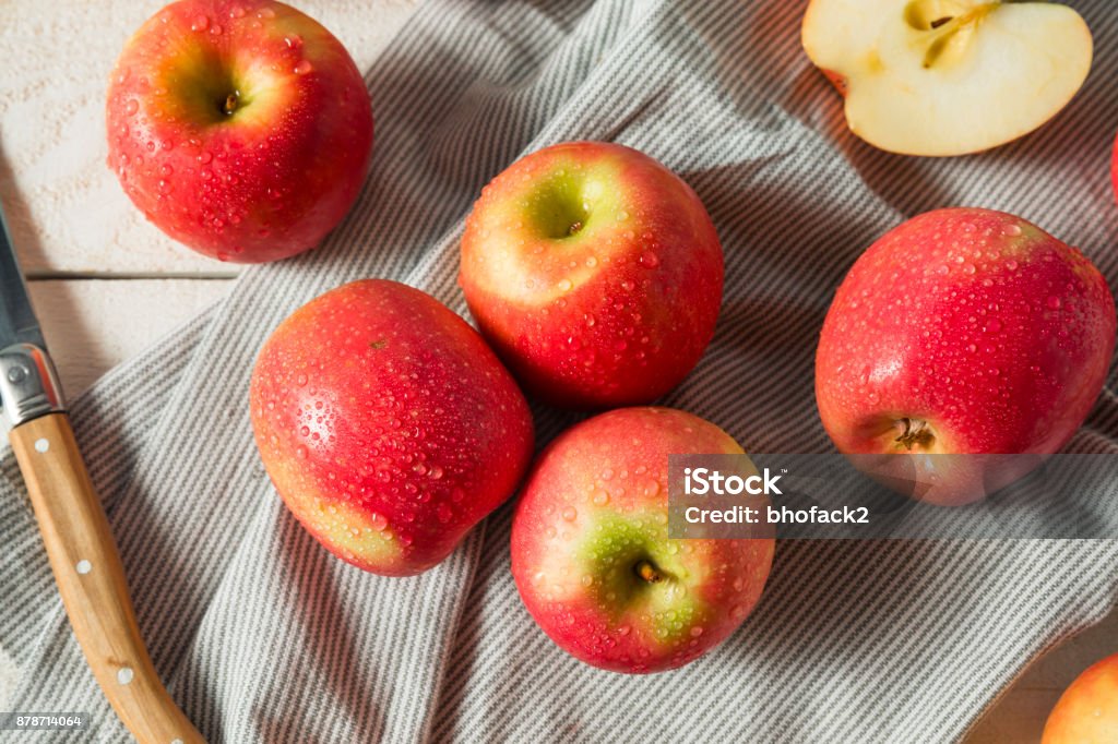 Raw Red Organic Pink Lady Apples Stock Photo - Download Image Now - Adult,  Agriculture, Apple - Fruit - iStock