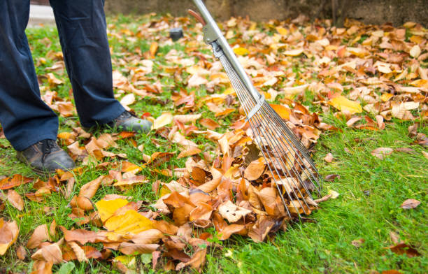 istock Man cleaning fallen autumn leaves in the yard 878716614