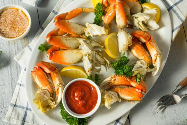 świeże złowionych dungeness crab - dungeness zdjęcia i obrazy z banku zdjęć