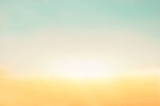 istock Soft blur abstract color of nature background 878730906