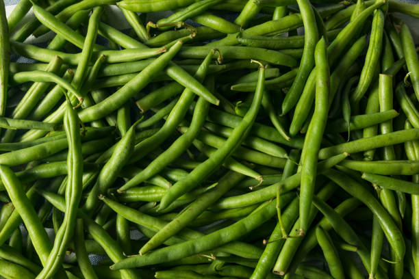 istock Healthy Raw Organic Green Beans 878736654