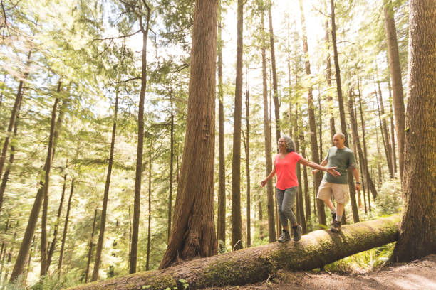 istock Senior couple hiking trip 878769188