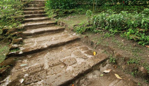 istock Natural stone stairs landscaping in garden 878769254