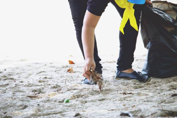 istock Environmental pollution concept with people collecting trash by the seaside 878778866