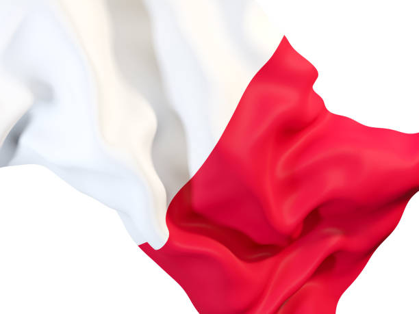 istock Waving flag of malta 878781812