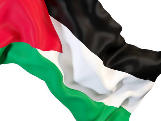 istock Waving flag of palestinian territory 878782046