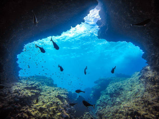 istock Underwater Deep Sea Cave, 'The Cathedral', Ko Haa, Krabi, Thailand 878786538
