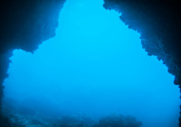 istock Underwater Deep Sea Cave, 'The Cathedral', Ko Haa, Krabi, Thailand 878789022