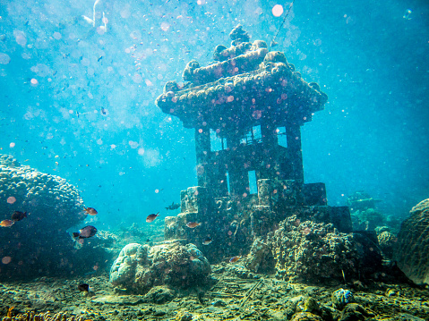 This image was taken underwater, whilst scuba diving in Amed, Tulamben, Bali, Indonesia.  The dive site is in Jemeluk and is known as The Pyramids.  The illegal fishing industry has notoriously decimated fish stocks therefore the tourism authority have deliberately sunk several statues to entice divers to the dive sites and to act as artificial reef ecosystems, which are now home to a large variety of marine life.