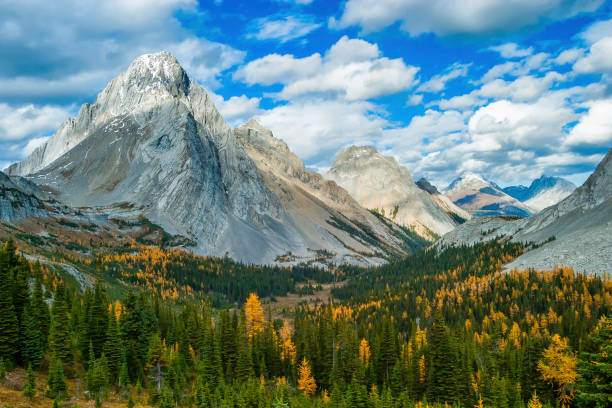 istock Burstall Pass in Kananaskis Country 878803498