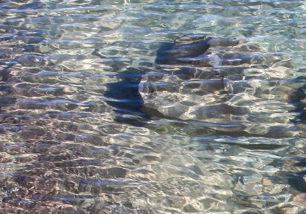 Close up of Rocks Under the Water