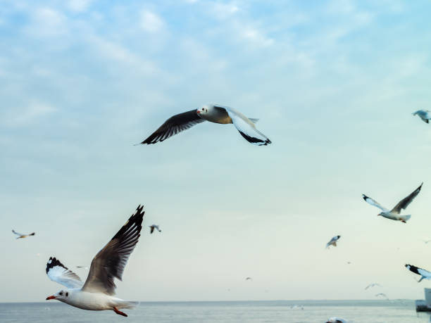 istock Twilight Sky in a Evening day in Samut Prakan, Thailand. 878812678