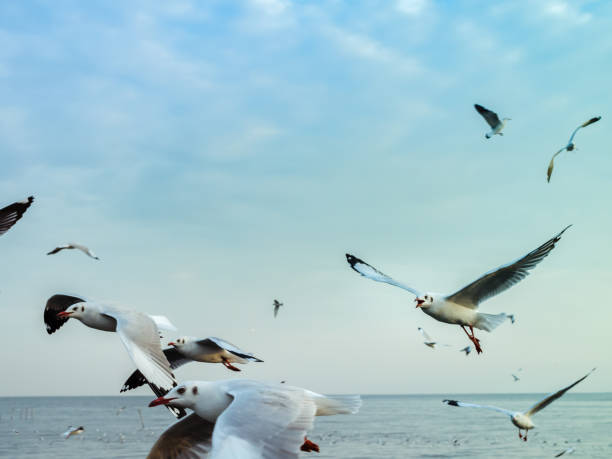 istock Twilight Sky in a Evening day in Samut Prakan, Thailand. 878814752