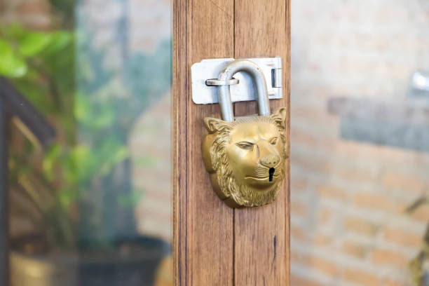 istock golden key in lion face shaped 878823016