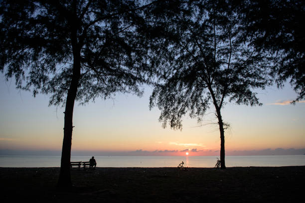 istock The silhouette of man  on the beach. 878841400