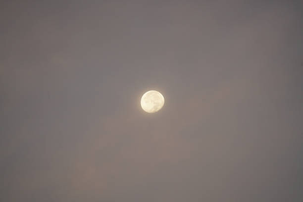 istock The Skies Above - Moon 878841560