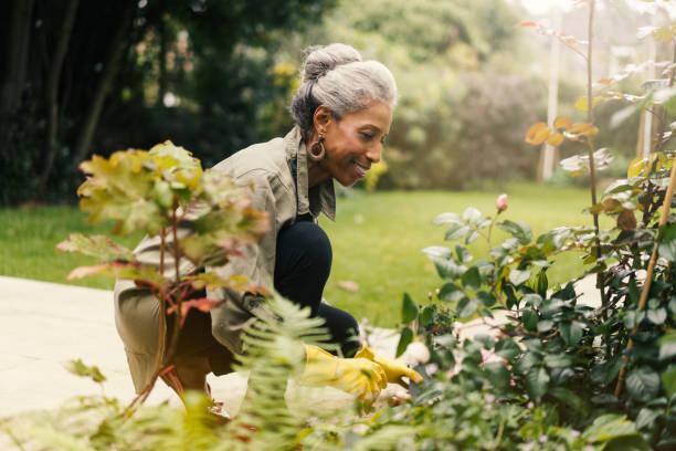 Retired senior woman gardening in back yard Side view of smiling senior woman crouching by plants. Happy retired female is gardening in back yard. She is wearing casuals. DisruptAgingCollection stock pictures, royalty-free photos & images