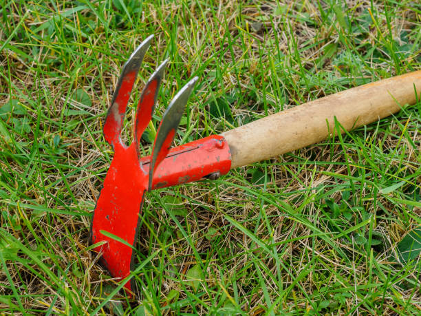 istock Hoe lies on the green lawn. Tools for garden work. 878852168