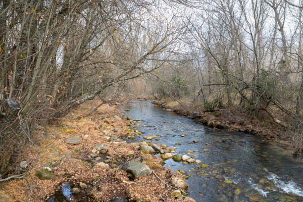 istock Views of the River Lozoya 878852188