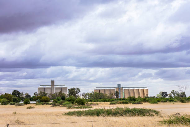 istock Silos in the rural areas for storing grain 878855434