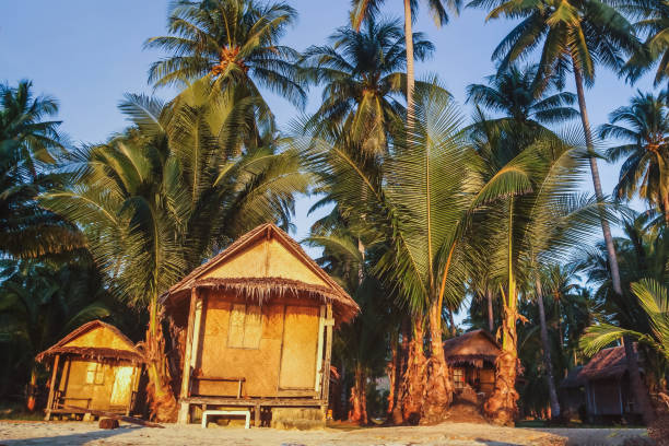 cheap budget accommodation on the beach, bamboo huts hotel and palm tres