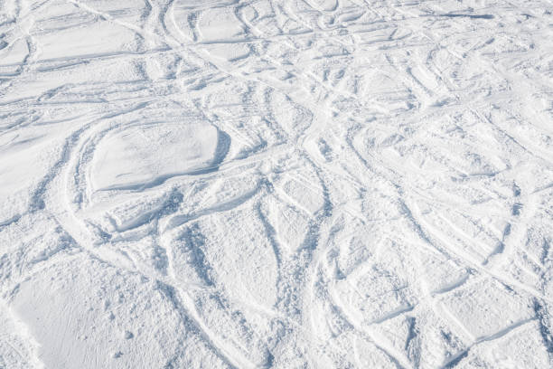 istock Ski and snowboard free ride tracks in powder snow 878860724