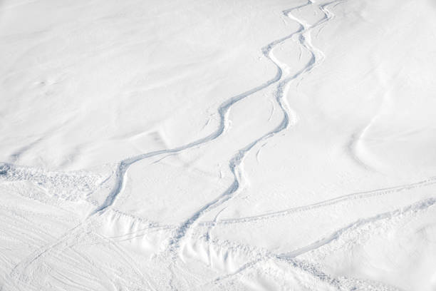 istock Ski and snowboard free ride tracks in powder snow 878860726