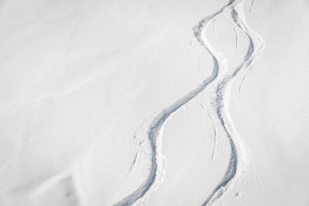 istock Ski and snowboard free ride tracks in powder snow 878860728