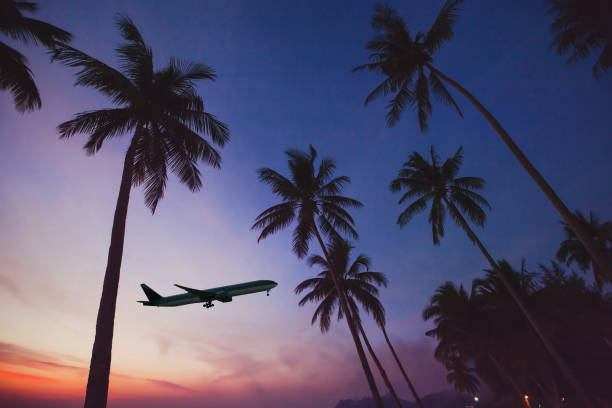 istock travel destination for beach vacation, tropical holidays 878860770