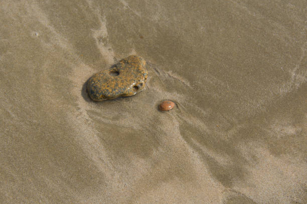 istock wet pebble in the sand 878868674