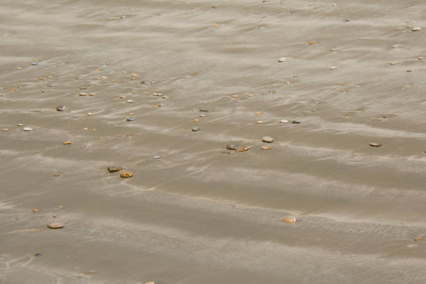 small round stones on the wet sand