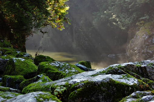 Moss covered rocks  on a rainy day; misty background with fog seeing over the river