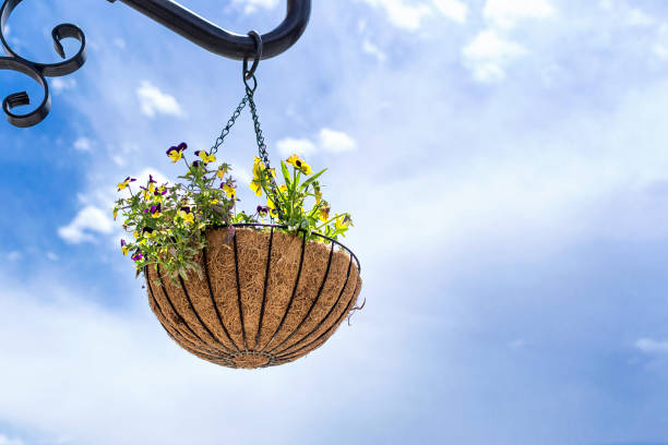 cesta de flores contra el cielo azul colgante - hanging flower basket isolated fotografías e imágenes de stock