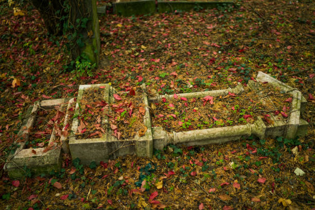 4 Seasons - autumn in old cemetery fallen tombstones on the abandoned jewish part of the graveyard zentralfriedhof the cemetery of vienna the capital of austria desecrate stock pictures, royalty-free photos & images