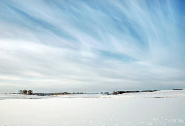 istock Winter landscape with frozen pond between snowy fields 878891180