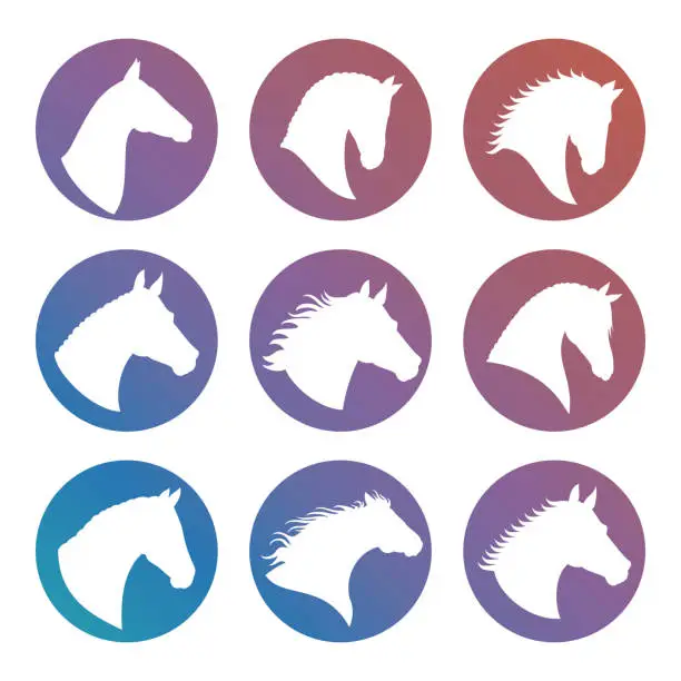 Vector illustration of Horse heads silhouettes icons set