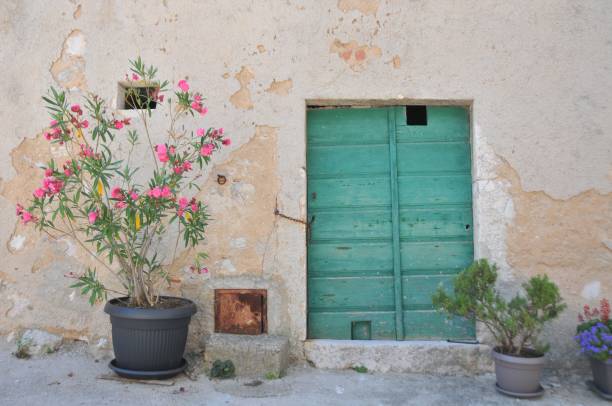 istock Old italian door 878930976