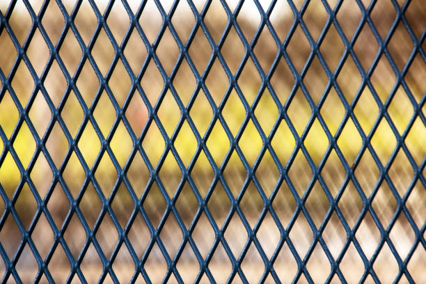istock Background texture of the metal mesh fence 878939942