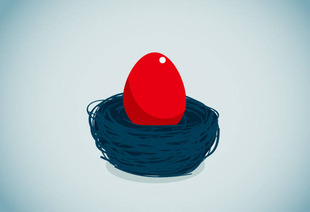 gniazdo zwierząt - birds nest animal nest animal egg blue stock illustrations