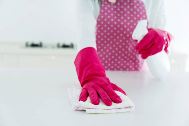 istock Woman cleaning the kitchen counter 878953502