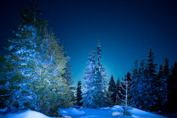istock Night stars in the snowy mountains 878967496