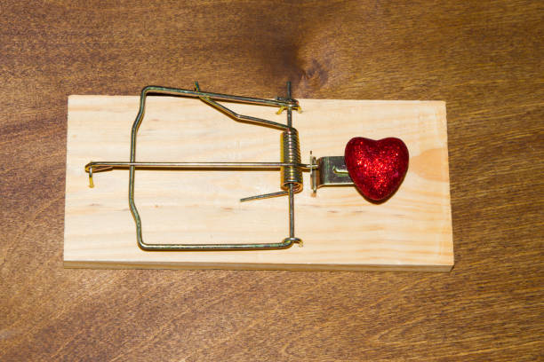 istock Mousetrap. Do not fall for the bait. Always think about the consequences 878967568