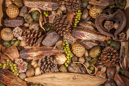 Christmas potpourri background. Traditional xmas decoration of pinecones nuts and berries. Pot pourrii laid out as a seasonal backdrop.